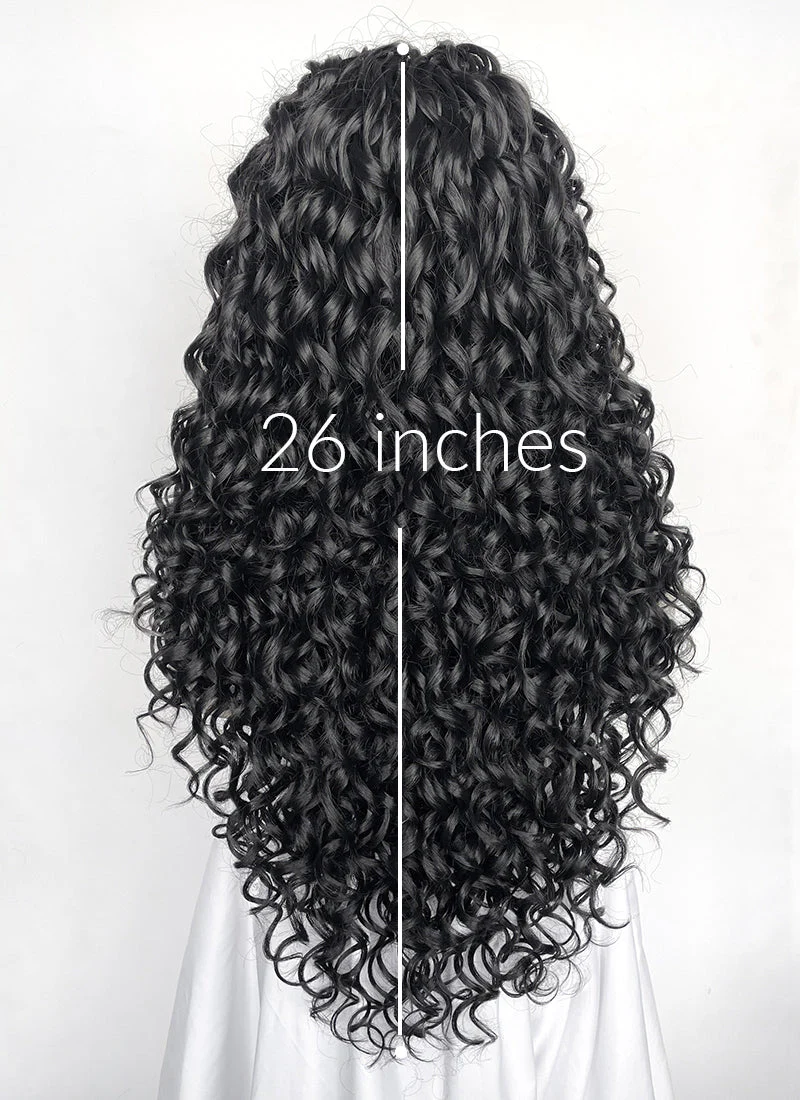 Black Mixed Silver Grey Curly Lace Front Synthetic Hair Wig LF1334 - Image 5