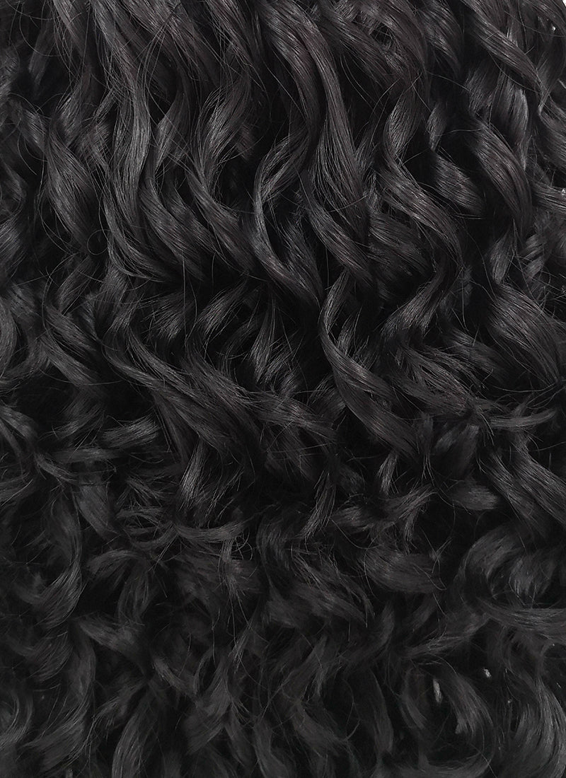 Spiral Curly Black Lace Front Synthetic Wig LF166 - Image 6