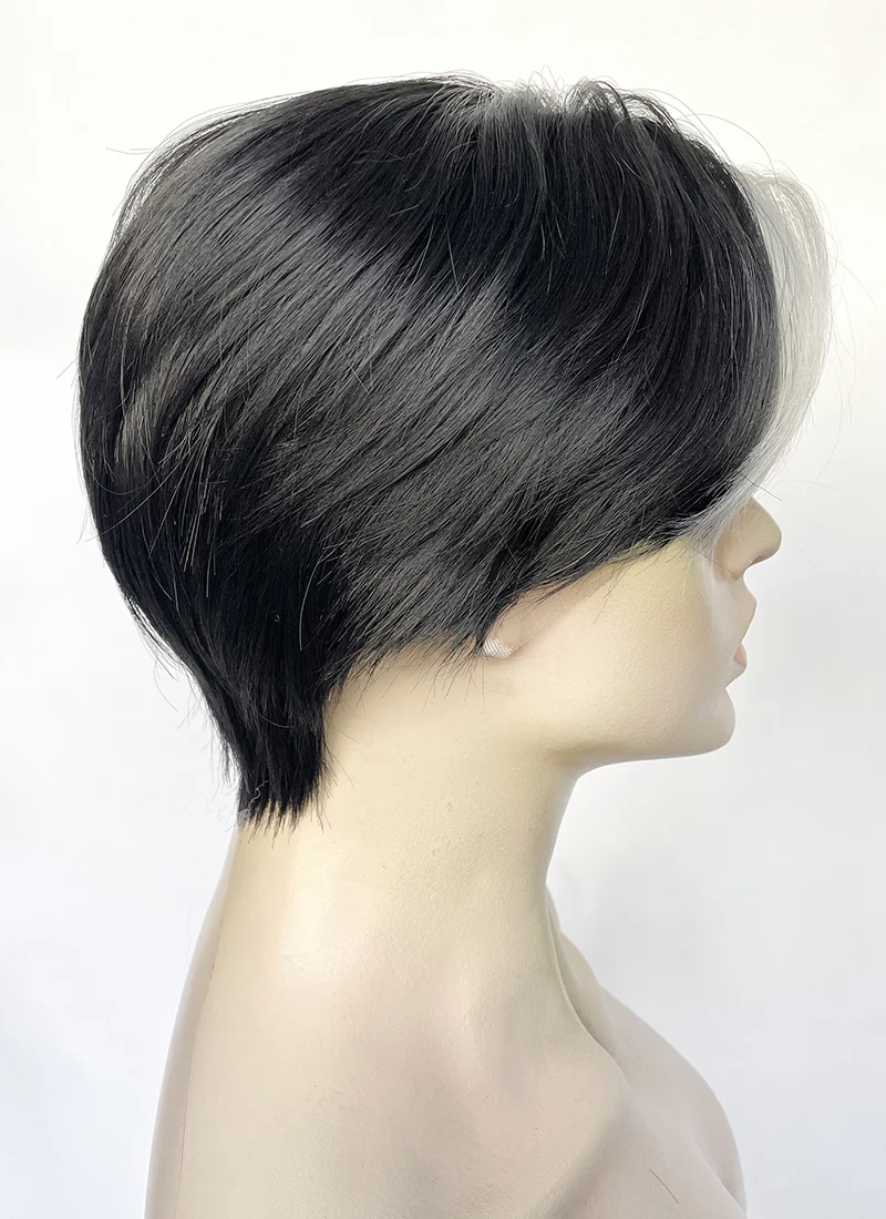 Black And White Straight Lace Front Synthetic Men's Wig LF6049 - Image 5