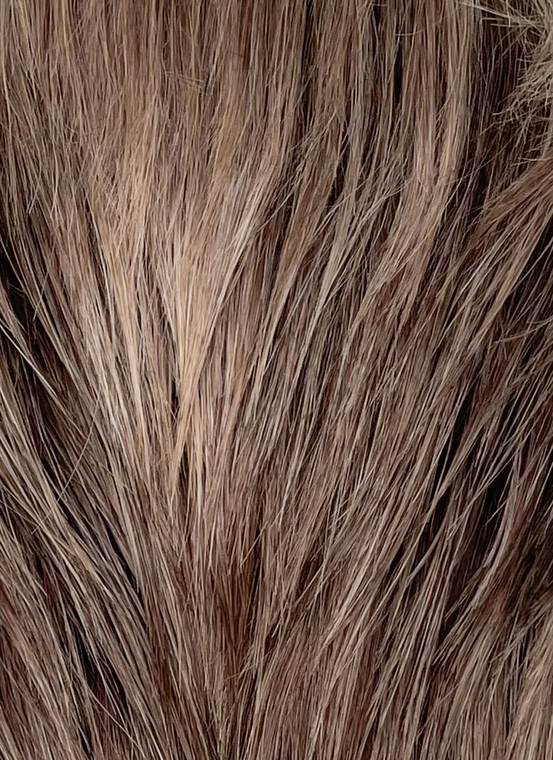 Mixed Brown Straight Lace Front Synthetic Men's Wig LF8010 - Image 7