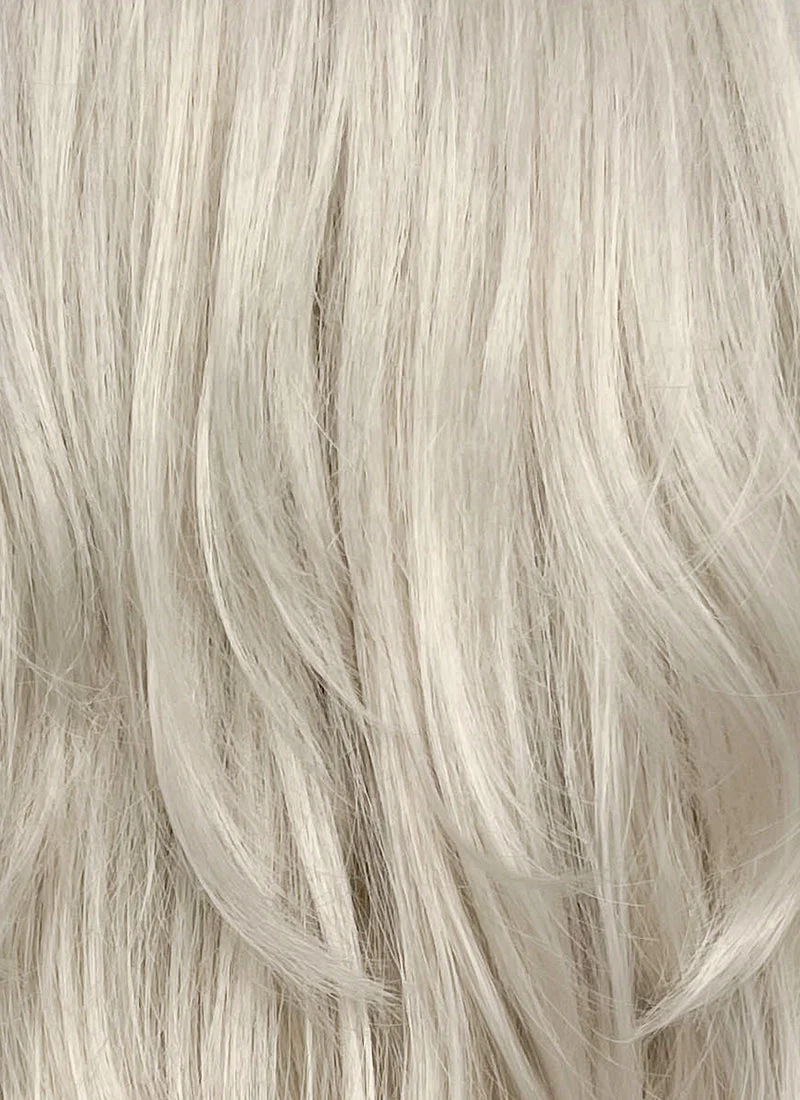 Pastel Blondish Grey Curtain Bangs Straight Lace Front Synthetic Wig LF8028 - Image 5