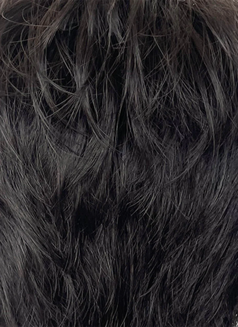 The Sandman Season 2 Dream Natural Black Straight 13" x 6" Lace Top Synthetic Men's Wig LF8069 - Image 9