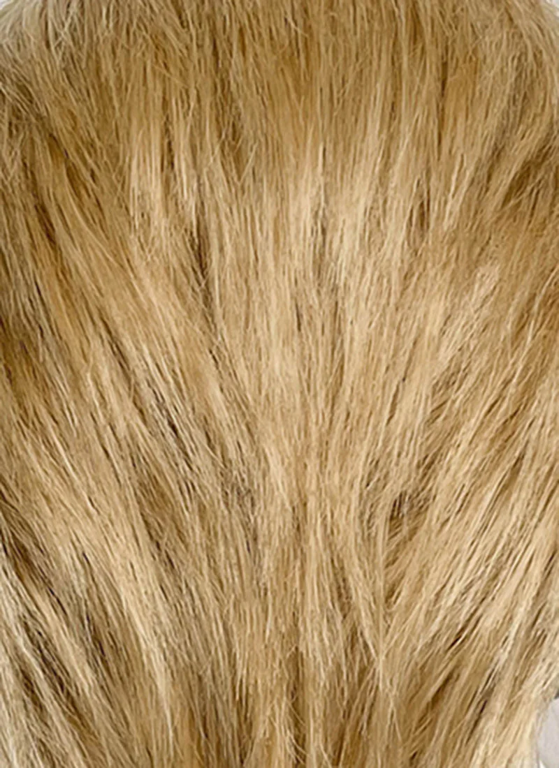The Fantastic Four Human Torch Johnny Storm Golden Blonde Straight Yaki 13" x 6" Lace Top Synthetic Men's Wig LF8071 - Image 14