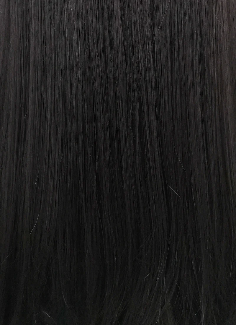 Straight Jet Black Lace Front Synthetic Wig LFB002 - Image 6