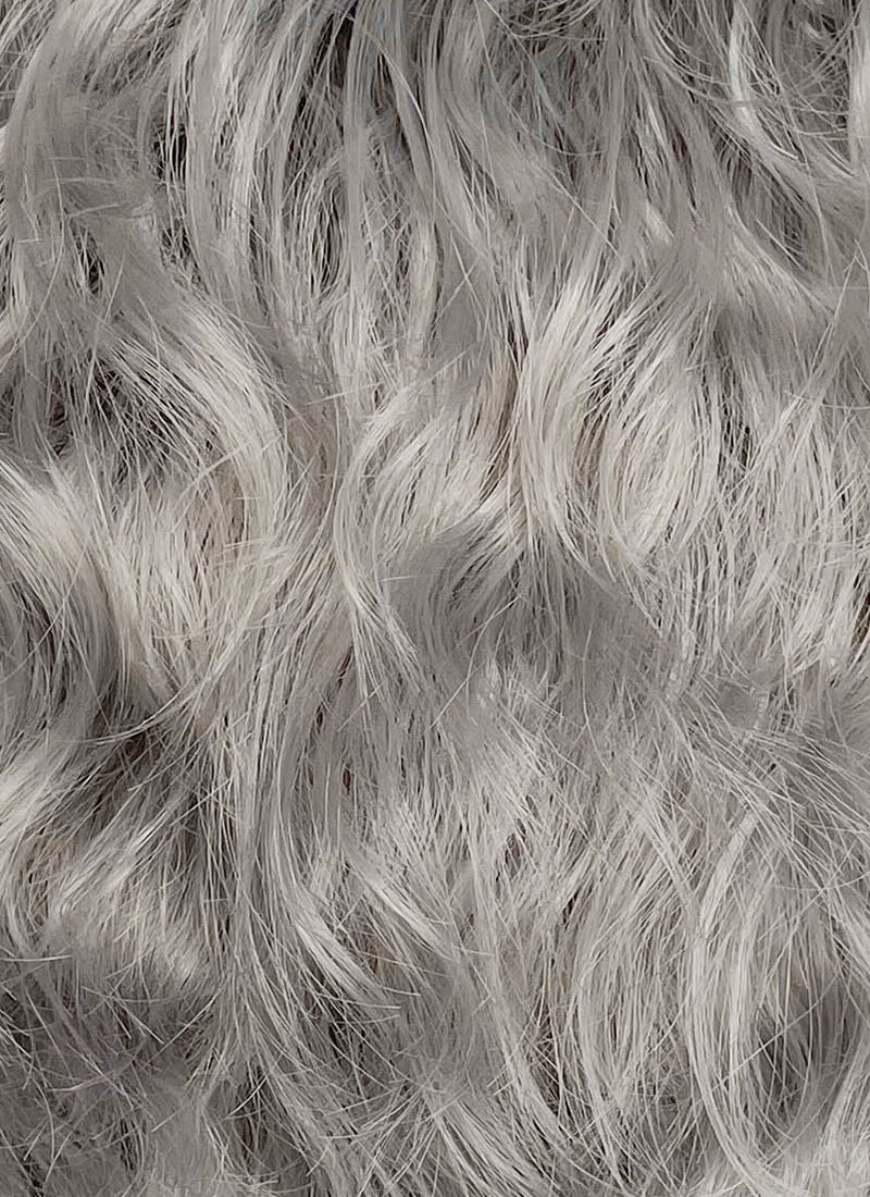 Grey Curly Lace Front Synthetic Wig LFCS280 - Image 5